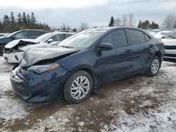 Salvage cars for sale from Copart Ontario Auction, ON: 2017 Toyota Corolla L