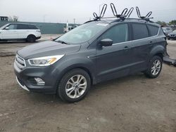 Ford Escape sel salvage cars for sale: 2019 Ford Escape SEL