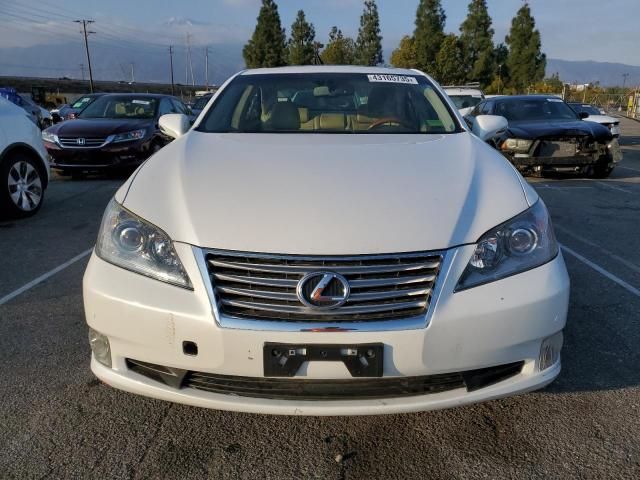 2010 Lexus ES 350