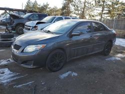 Toyota salvage cars for sale: 2009 Toyota Corolla Base