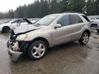 2006 Mercedes-Benz ML 350