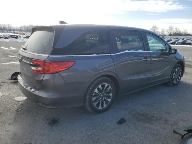 2024 Honda Odyssey EXL