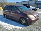 2008 Honda Odyssey EXL