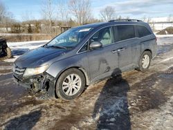 Honda Vehiculos salvage en venta: 2014 Honda Odyssey EXL