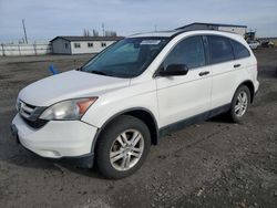 Salvage cars for sale at Airway Heights, WA auction: 2011 Honda CR-V EX