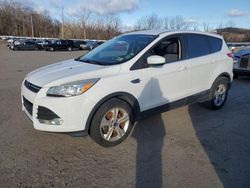 Ford salvage cars for sale: 2015 Ford Escape SE