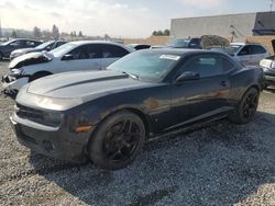 Chevrolet salvage cars for sale: 2013 Chevrolet Camaro LT