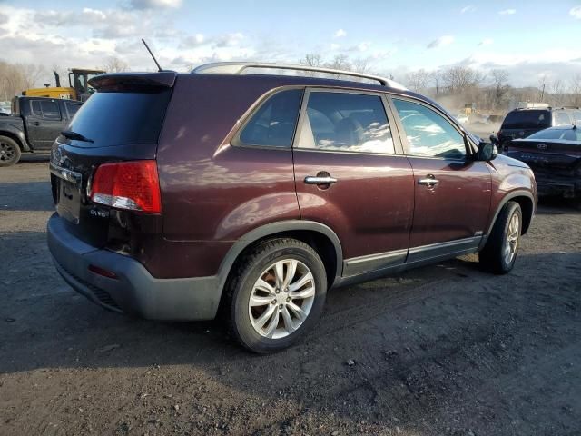 2011 KIA Sorento EX