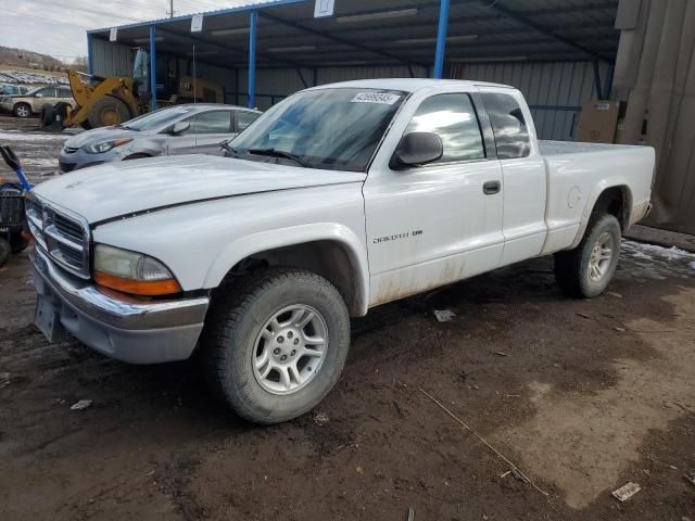 2002 Dodge Dakota SLT