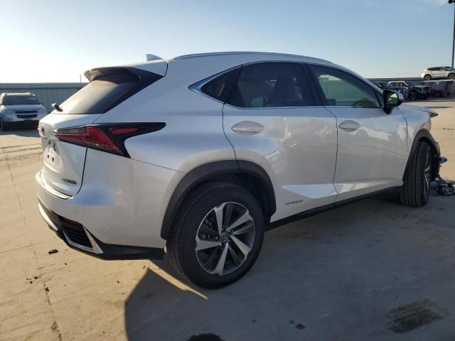 2020 Lexus NX 300H