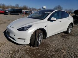 2021 Tesla Model Y en venta en Hillsborough, NJ