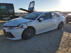 Salvage cars for sale from Copart San Antonio, TX: 2024 Toyota Camry XLE