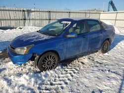 Ford Focus ses salvage cars for sale: 2010 Ford Focus SES