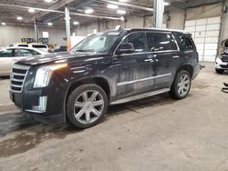 Cadillac salvage cars for sale: 2019 Cadillac Escalade Premium Luxury