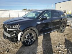 Salvage cars for sale at auction: 2023 KIA Sorento EX