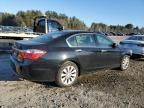 2014 Honda Accord EXL