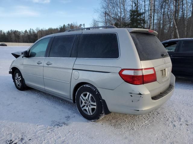 2005 Honda Odyssey EXL