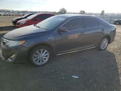 2013 Toyota Camry Hybrid en venta en Antelope, CA