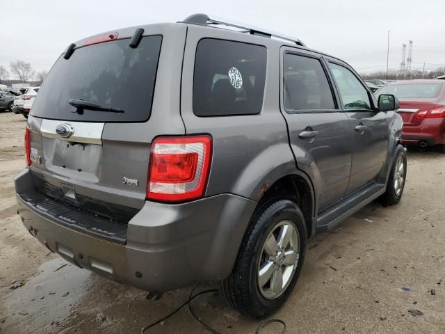 2011 Ford Escape Limited