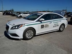 Salvage cars for sale at Homestead, FL auction: 2017 Hyundai Sonata Hybrid