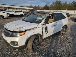 Salvage cars for sale at Memphis, TN auction: 2013 KIA Sorento EX