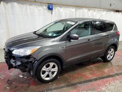 Salvage cars for sale from Copart Angola, NY: 2016 Ford Escape SE