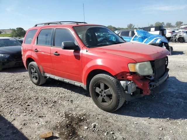 2009 Ford Escape XLT