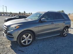 Salvage SUVs for sale at auction: 2017 Mercedes-Benz GLE 350