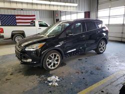 Salvage cars for sale at Fort Wayne, IN auction: 2016 Ford Escape Titanium