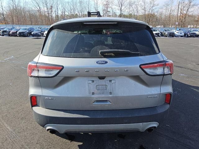 2021 Ford Escape SEL