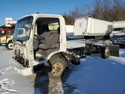 Isuzu NPR salvage cars for sale: 2013 Isuzu NPR