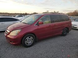 Salvage cars for sale at Riverview, FL auction: 2006 Honda Odyssey EXL