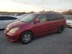 2006 Honda Odyssey EXL