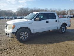 2014 Ford F150 Supercrew en venta en Conway, AR