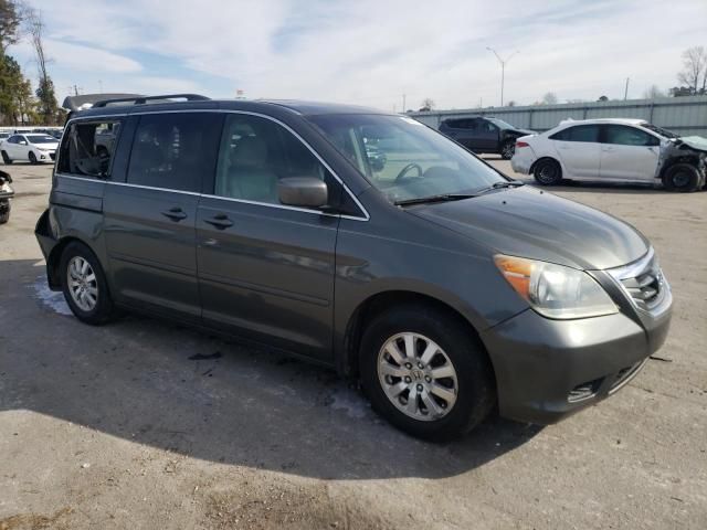 2008 Honda Odyssey EXL