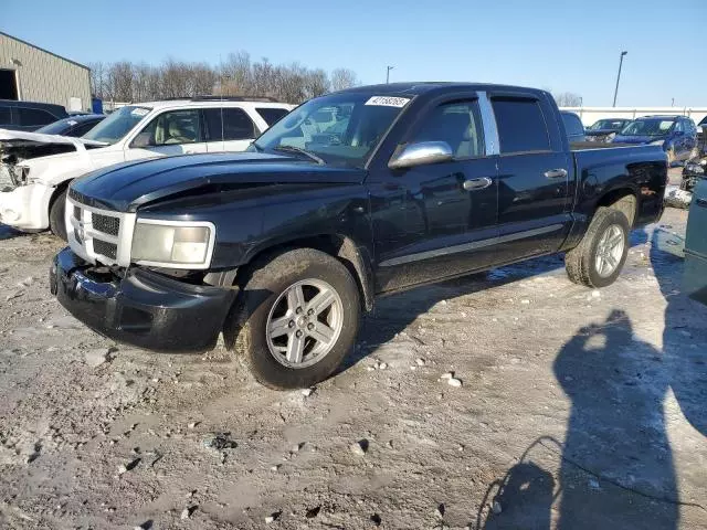 2008 Dodge Dakota SXT