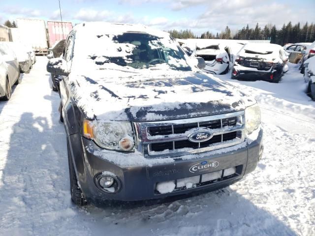 2012 Ford Escape XLT