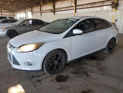 Ford salvage cars for sale: 2013 Ford Focus SE