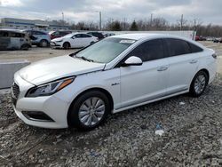 2017 Hyundai Sonata Hybrid en venta en Louisville, KY