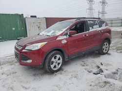 Salvage Cars with No Bids Yet For Sale at auction: 2014 Ford Escape SE