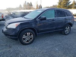 Honda crv salvage cars for sale: 2010 Honda CR-V EXL