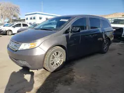 Salvage cars for sale from Copart Albuquerque, NM: 2013 Honda Odyssey EXL