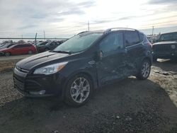 Salvage cars for sale at Eugene, OR auction: 2016 Ford Escape Titanium