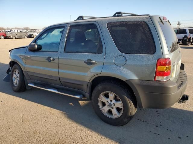 2006 Ford Escape XLT