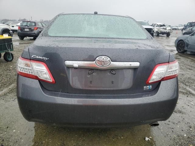 2010 Toyota Camry Hybrid