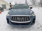 2022 Infiniti QX55 Sensory