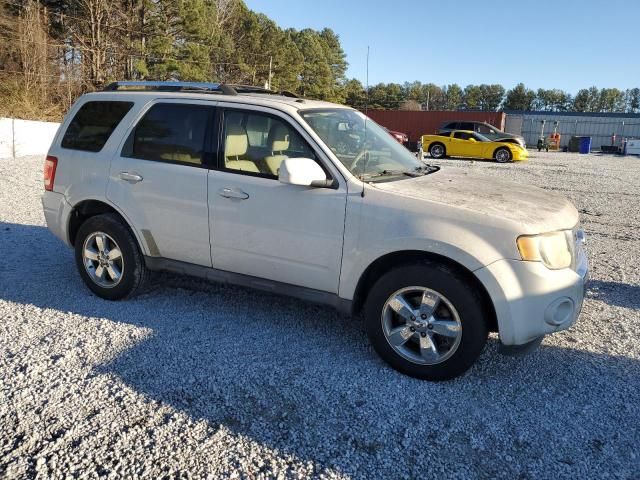 2011 Ford Escape Limited