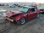 2003 Ford Mustang Cobra SVT