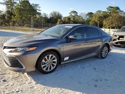 Salvage cars for sale at Fort Pierce, FL auction: 2023 Toyota Camry LE