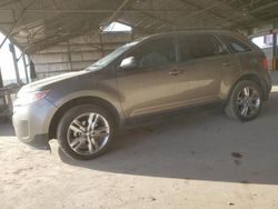 2013 Ford Edge SEL en venta en Phoenix, AZ